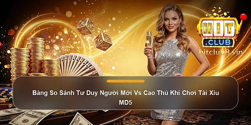 Bảng So Sánh Tư Duy Người Mới Vs Cao Thủ Khi Chơi Tài Xỉu MD5